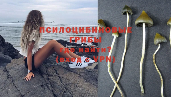 СК Волоколамск